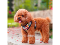 Leashes & Harnesses - HN809-F